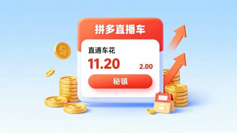 拼多多直通车花费在哪里看？拼多多查看直通车余额(拼多多怎么查直通车总共