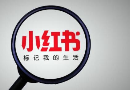 小红书涨粉最快的方法