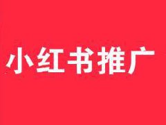 短视频运营推广平台小红书发布视频有收益吗？