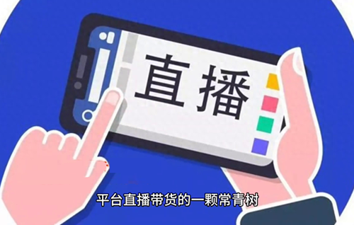 怎样开通小黄车带货