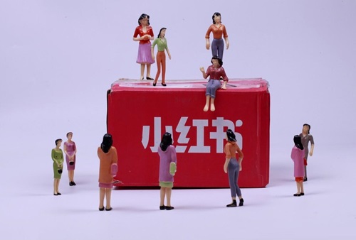 小红书蒲公英怎么开通